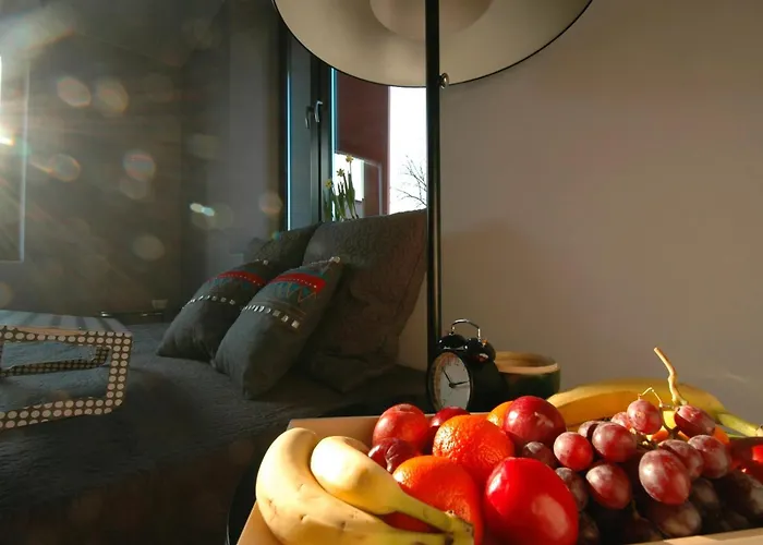 斯洛奈克兹纳共和酒店 波兹南